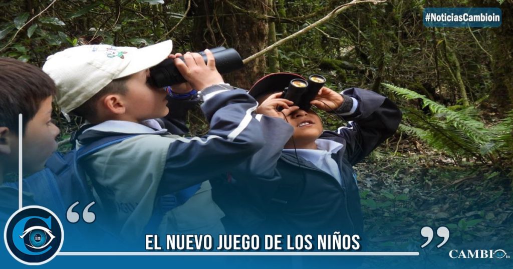 M S De Menores Participar N En Avistamientos De Aves Con La