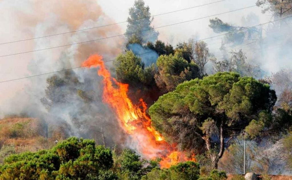 Incendio forestal amenaza a varios  moradores del Guamo, y otras poblaciones