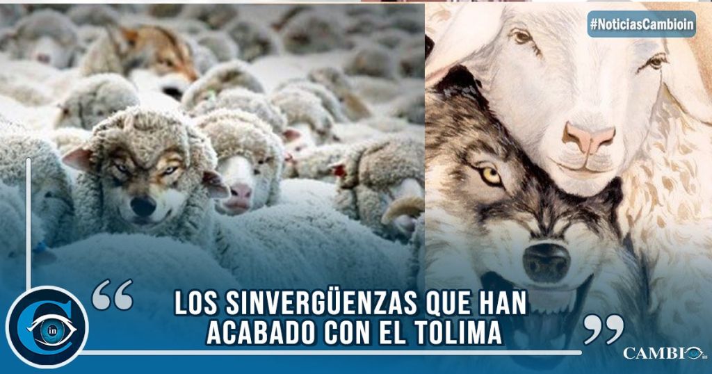 Por estos días los lobos se visten de ovejas, para parecer buenos politicos  | CambioIn