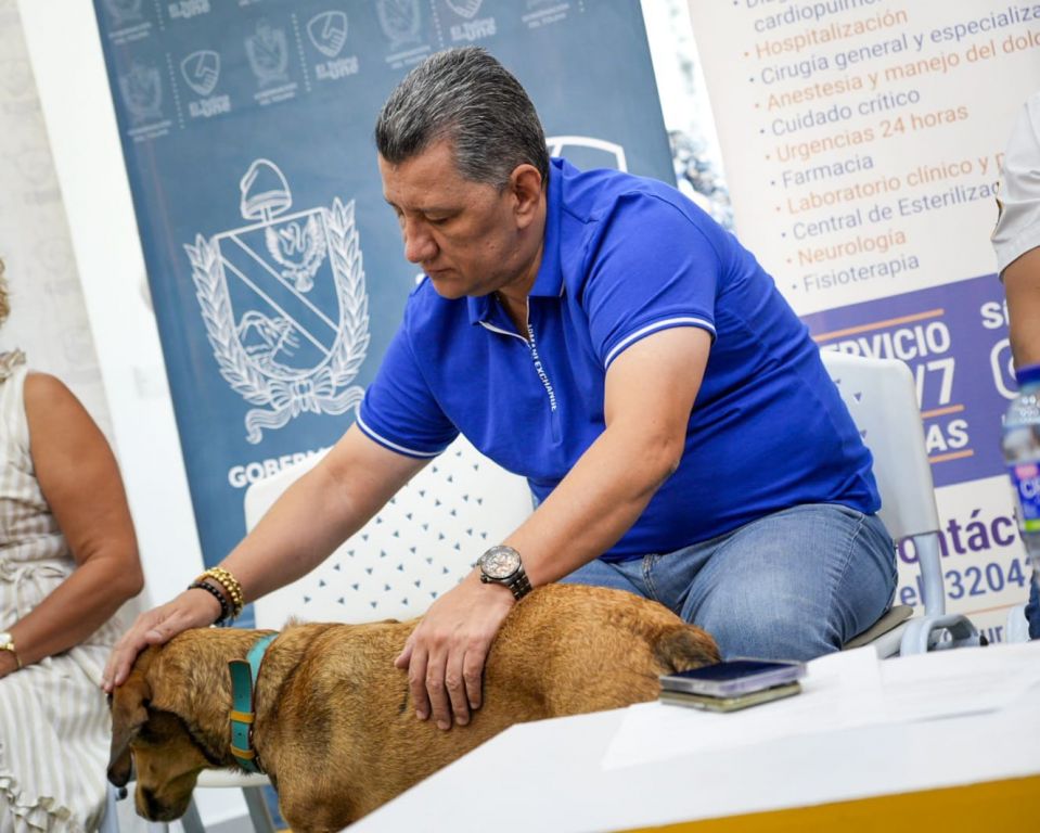 Mas de 700 animales han sido atendidos gracias al convenio entre la Gobernación y Hospital Veterinario de la UT