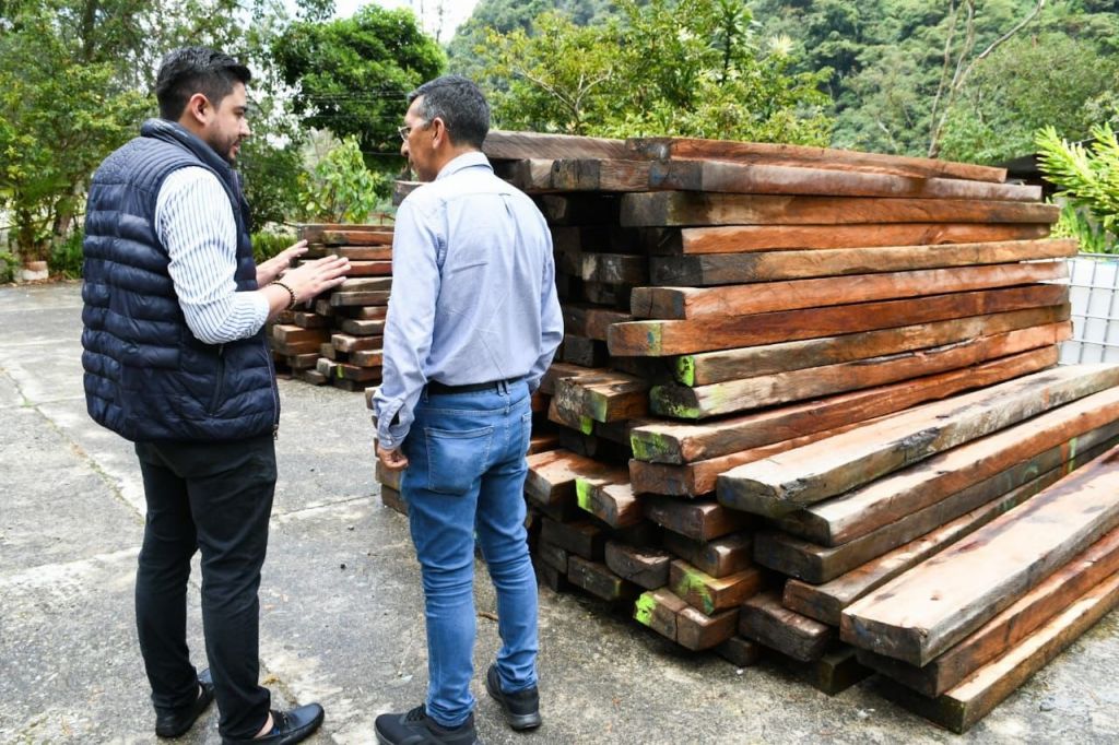 Cortolima realizó entrega de madera a alcaldías del Tolima