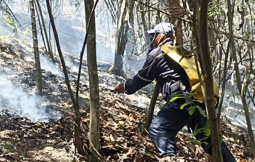 No están autorizadas ni las quemas controladas, ojo aumentó ola de calor