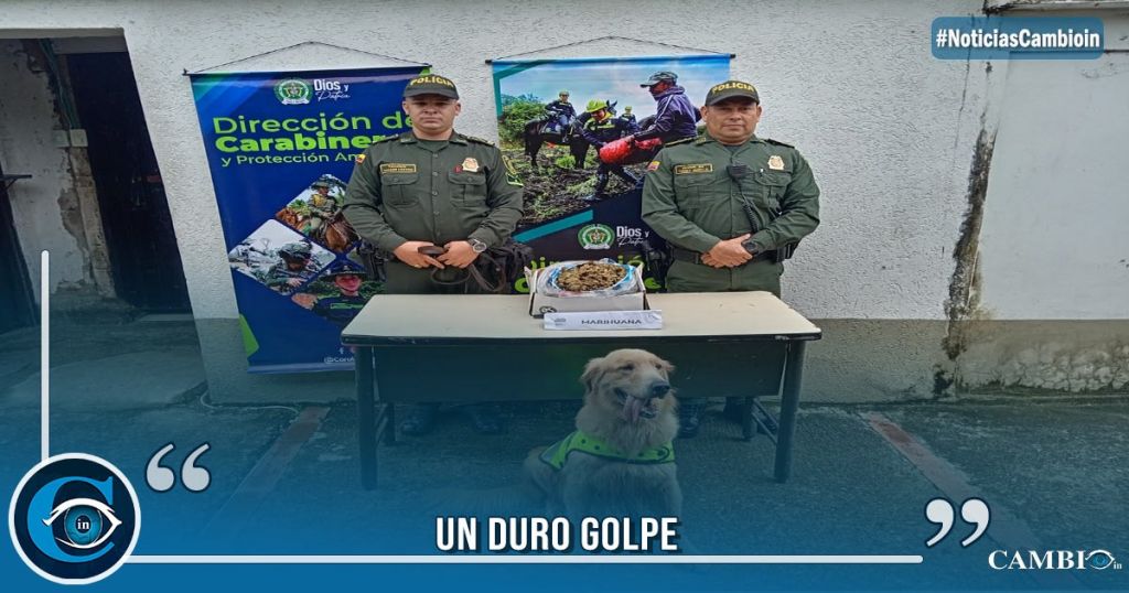 Policía Canino Descubrió Cargamento De Droga Que Iba Al Norte Del