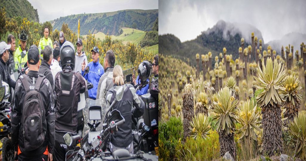 Cortolima intensifica controles y charlas de educación ambiental en la vía Murillo - Manizales