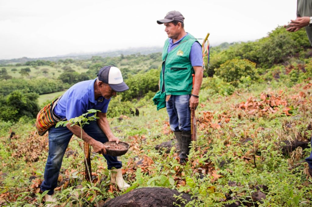 Cortolima restaura predios de cinco resguardos indígenas