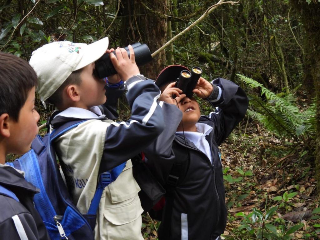 Más de 700 menores participarán en avistamientos de aves con la Expedición Arcoíris.