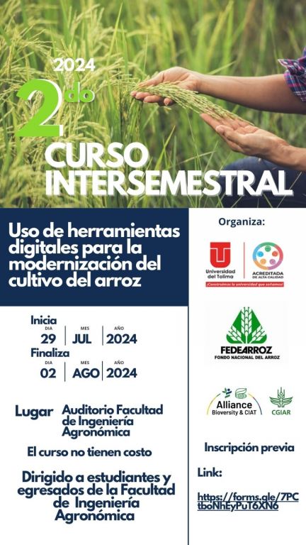 La Universidad del Tolima Ofrece Curso Gratuito para innovar el Cultivo de Arroz