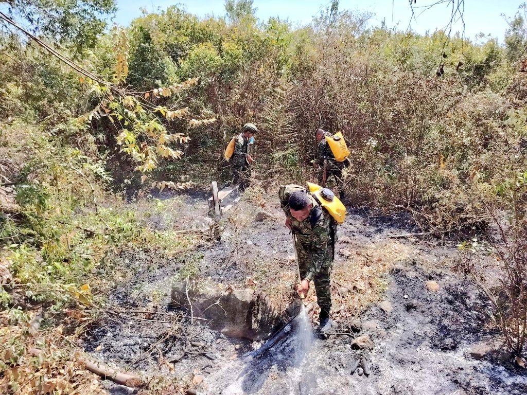 Los incendios forestales, el pan de cada día en el Tolima