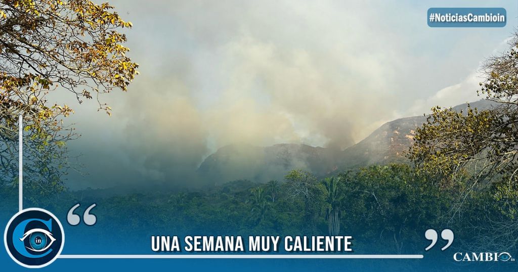 Más de 25 incendios han sido atendidos en el Tolima durante la semana