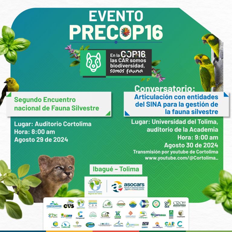 El Tolima será sede nacional de un evento PRECOP16