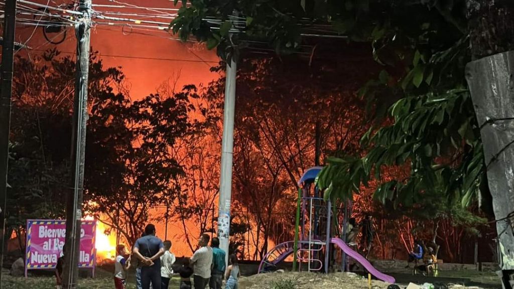 Investigan las causas de la mayoría de incendios forestales de Ibagué