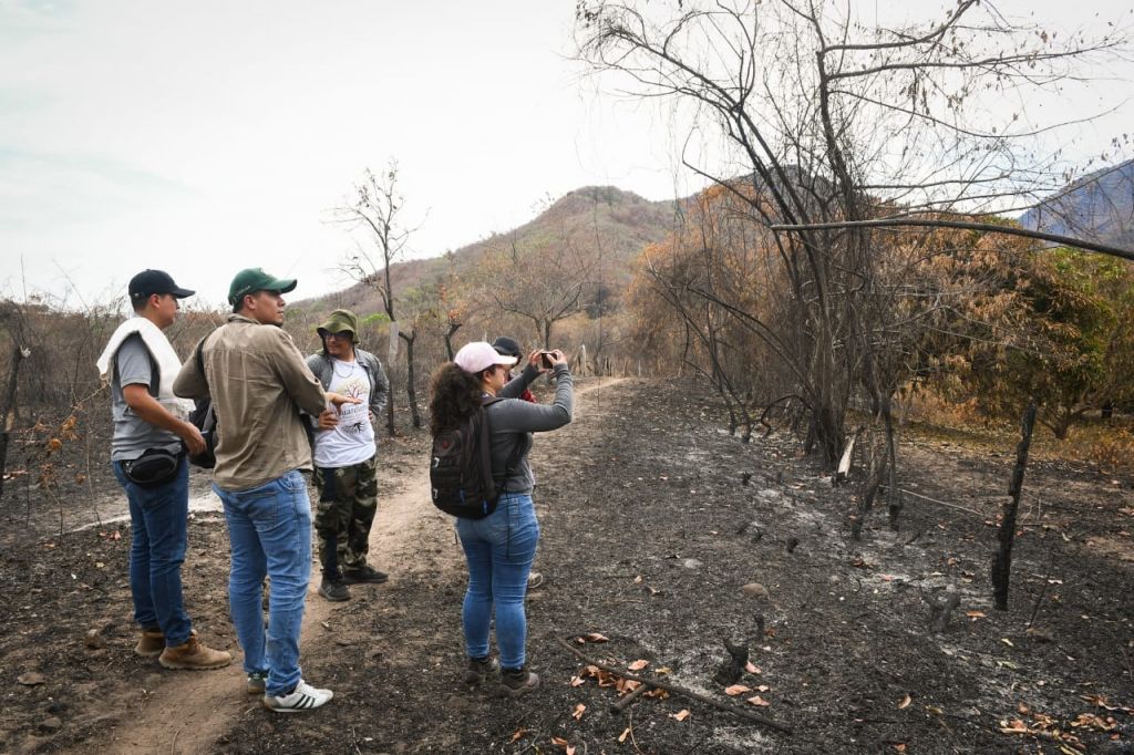 Cortolima buscará restaurar zonas afectadas por incendios en Natagaima