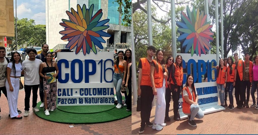 Los futuros ingenieros forestales están dejando huella en la COP16