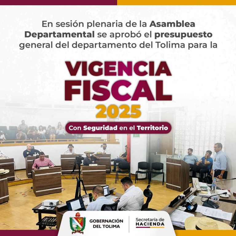 Asamblea aprueba presupuesto del Tolima 2025 por 1.7 billones de pesos