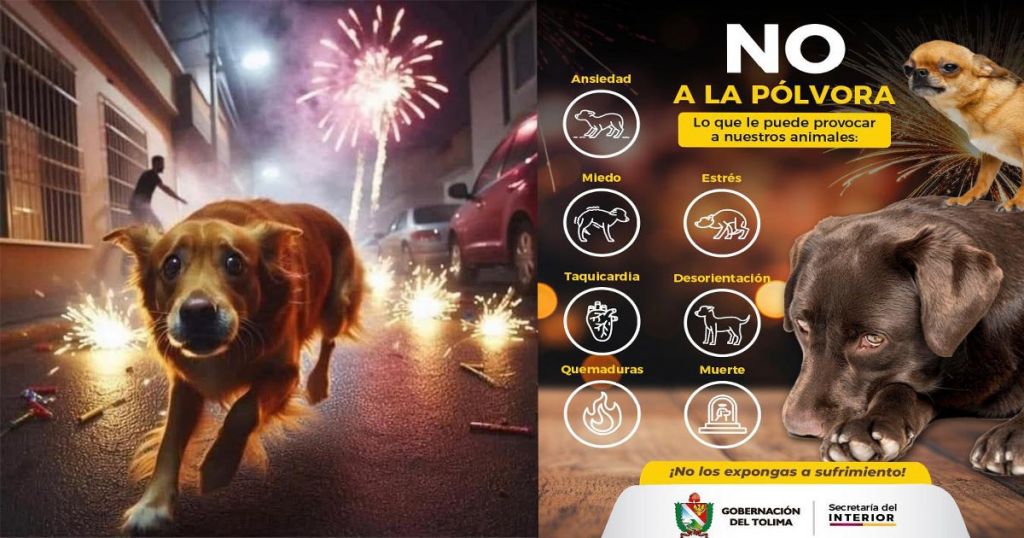 ¡Celebremos un diciembre seguro y respetuoso con nuestros animales!