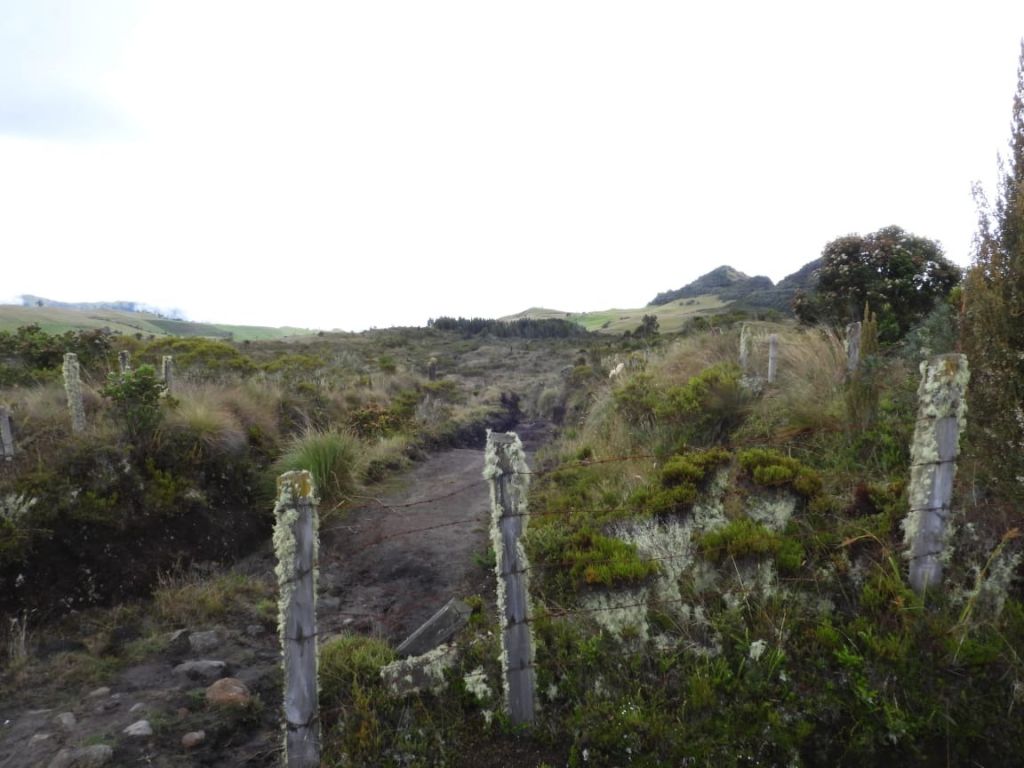 Aprobado el plan de manejo de la reserva forestal protectora El Toro