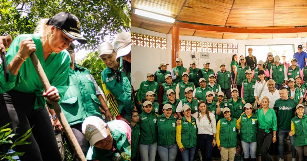 Cortolima cerró 2024 con grandes avances e inversiones para la protección del medio ambiente