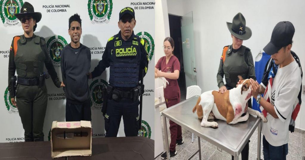 Estaba robando una persona, en su huida un perro lo atacó, y el ladrón lo apuñaló