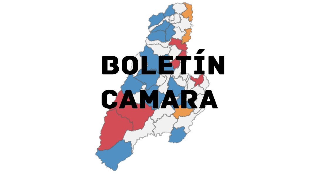 Boletín N.8 Camara por el Tolima