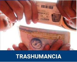 Golpe a la transhumancia electoral. Anulan 72 mil cédulas en el Tolima