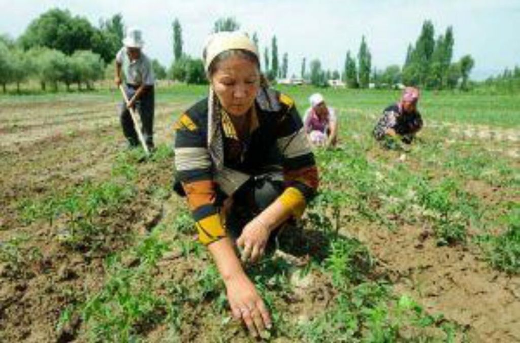 El reconocimiento es para la mujer rural