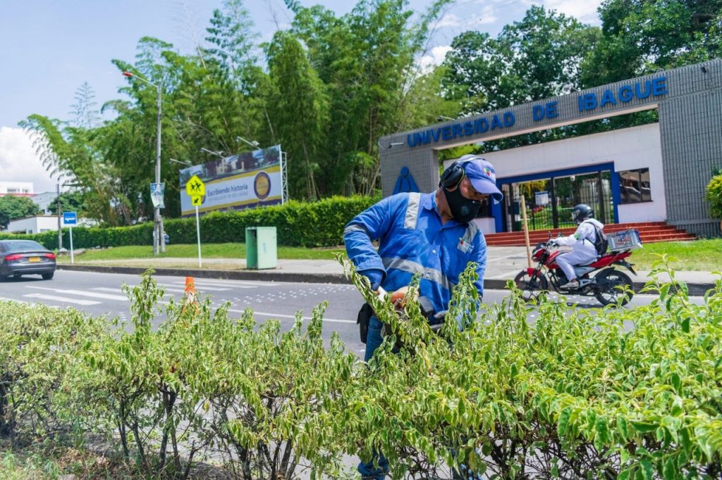 704 parques de Ibagué serán embellecidos en noviembre